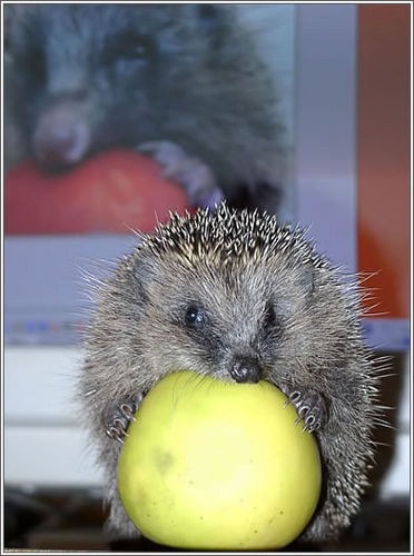 №111, Анна Сафина, 32 года, Казань №111, Анна Сафина, 32 года, Казань