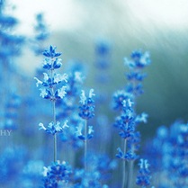 №2, Marianna Blinkova, Рига №2, Marianna Blinkova, Рига