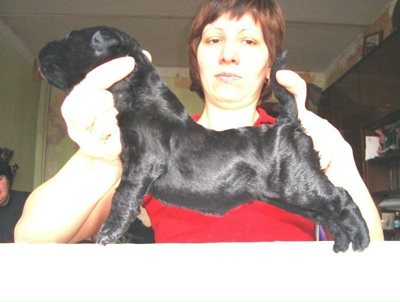 №58, Кирилл Охапкин, 38 лет, Волгоград №58, Кирилл Охапкин, 38 лет, Волгоград