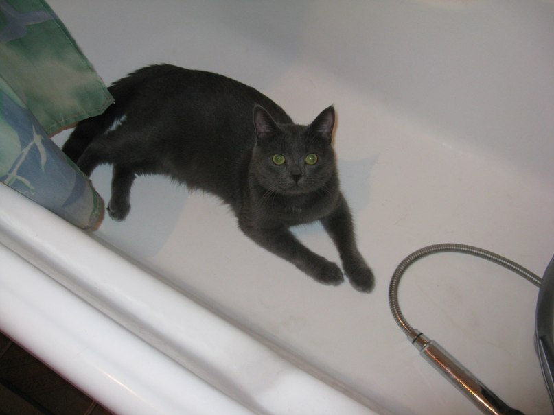 Александр Коломийченко | Харьков