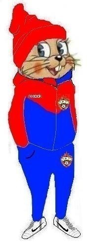 Алексей Кулешов | Воронеж