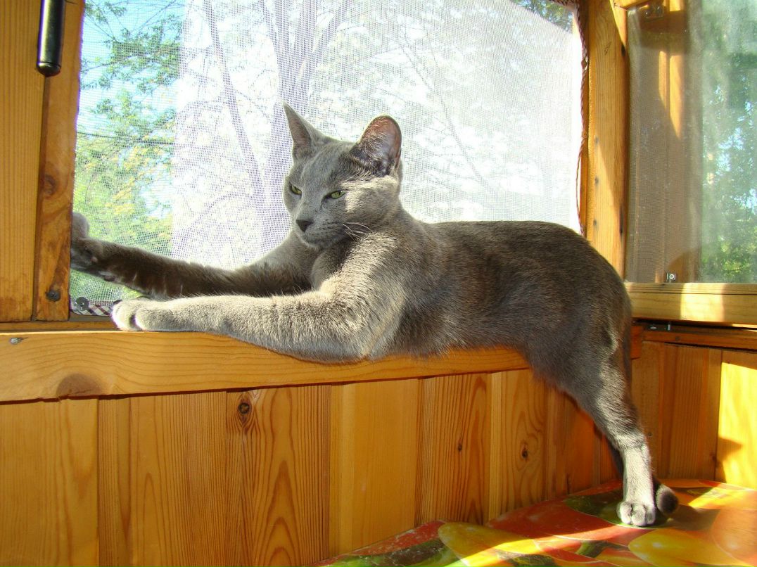 Максим Сумерин | Санкт-Петербург