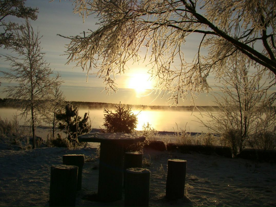 Андрей Иванов | Санкт-Петербург