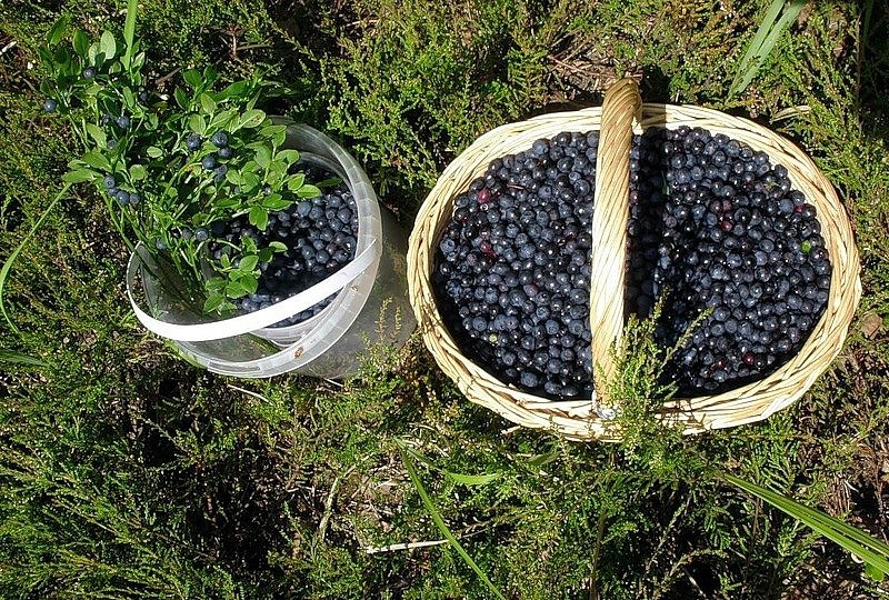 Olesyajane Yutoo | Москва