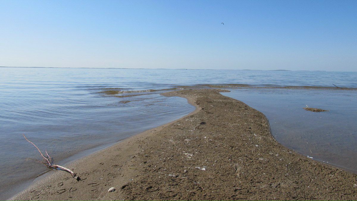 Фархад Акбаров | Ташкент