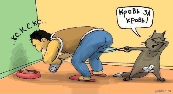 Елена Соколова | Санкт-Петербург