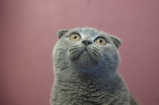 Алиночка Алина ✿ܓ✿ܓ✿ܓ | 