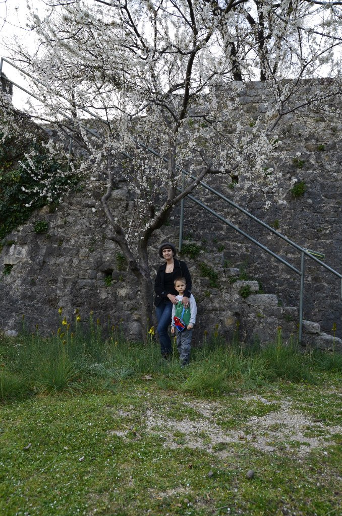 Nadezda Lysenko hylidelat | Bar