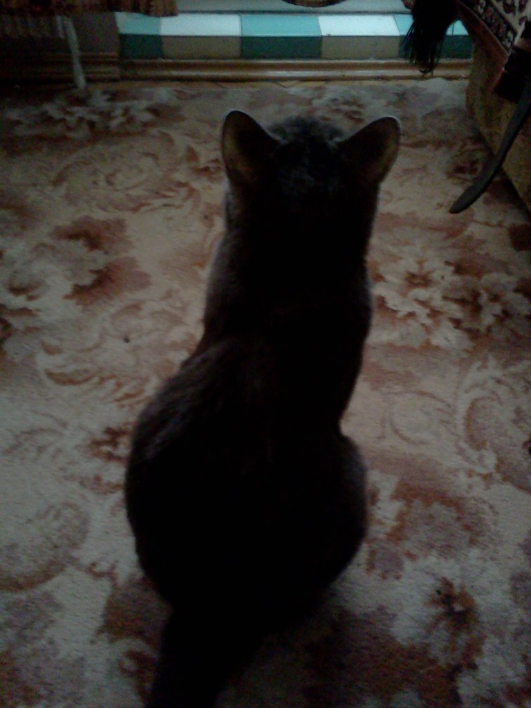 Ирина Прыткова | Москва