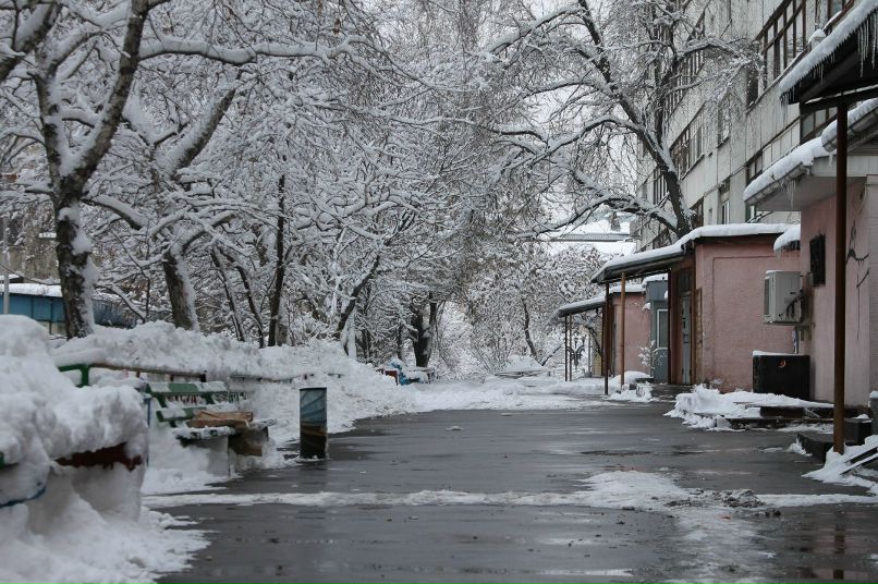 Светлана Люльчак | Алматы