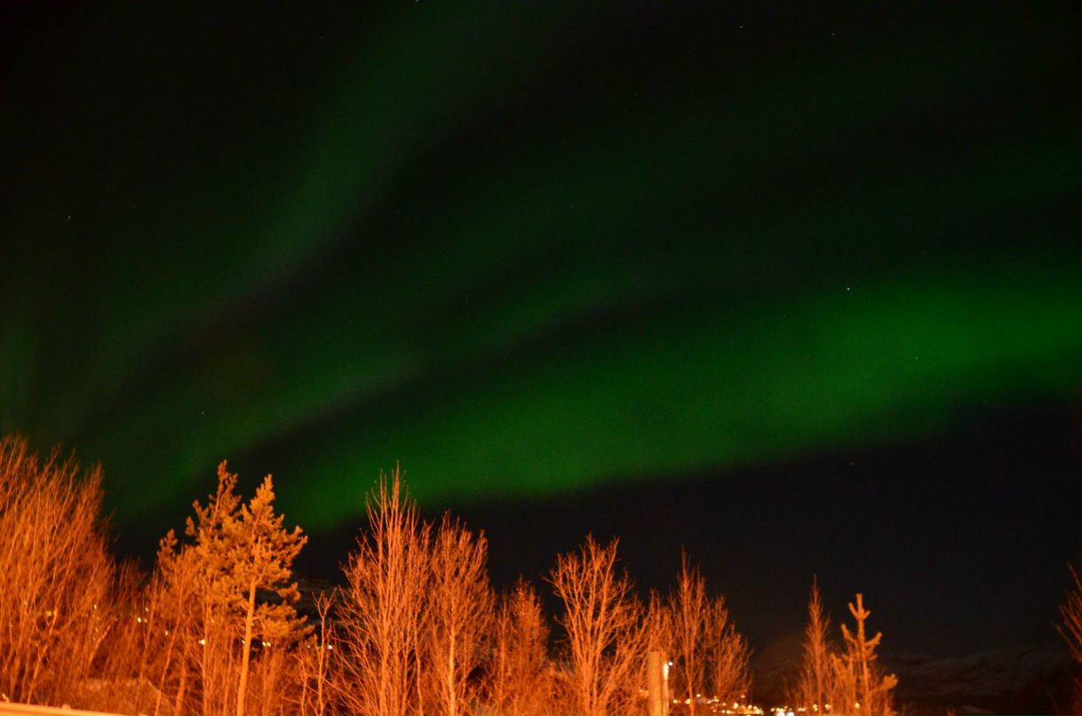 Дмитрий Донской | Москва