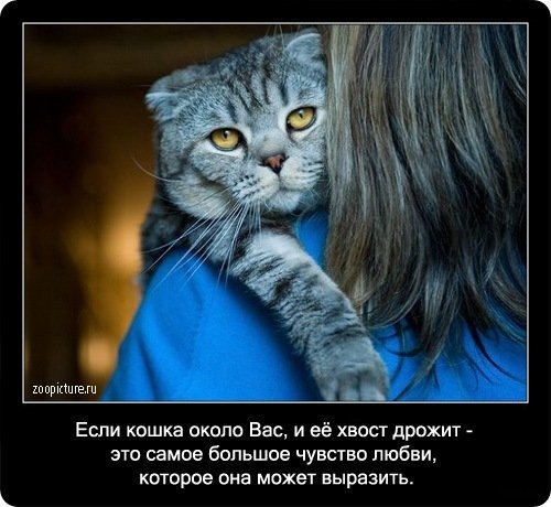 №106, Алексей Кот, Москва №106, Алексей Кот, Москва