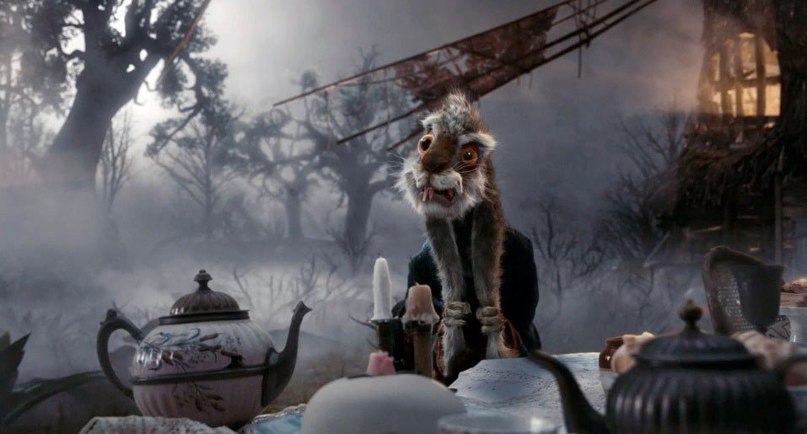 Анастасия Строль Wild | 