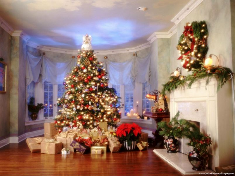 №66, Dasha Feles, Кострома №66, Dasha Feles, Кострома