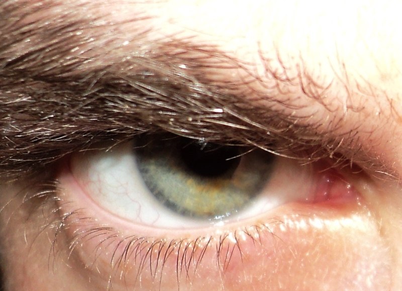 Роман Петрів | Львов