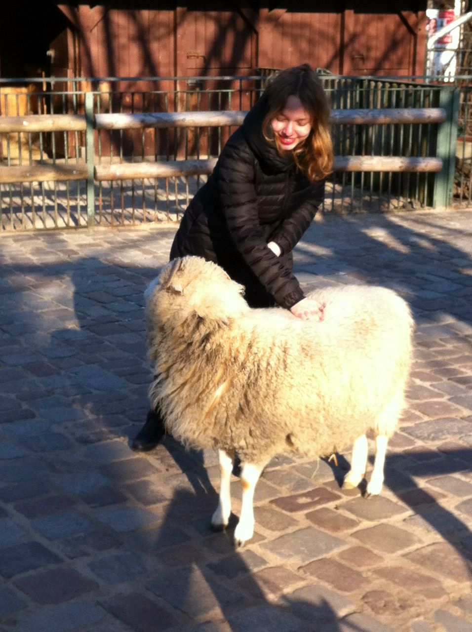 Дария Волынская | 