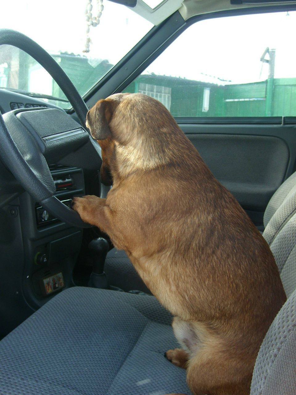 Витёк Кувшинников | Ульяновск