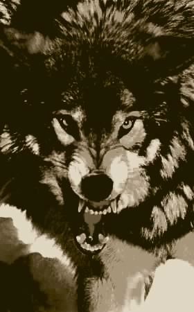 Бодя Грабарчук | Нетешин