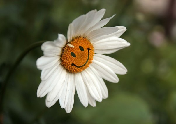 Юра Романовский | Могилёв