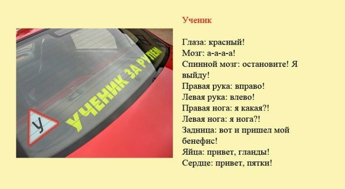 №60, Роман Рубцов, 42 года, Луганск №60, Роман Рубцов, 42 года, Луганск