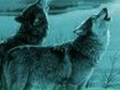 Елена Асабова | Нижний Новгород