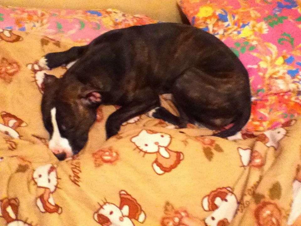 Kat Kan пил и пил | Санкт-Петербург