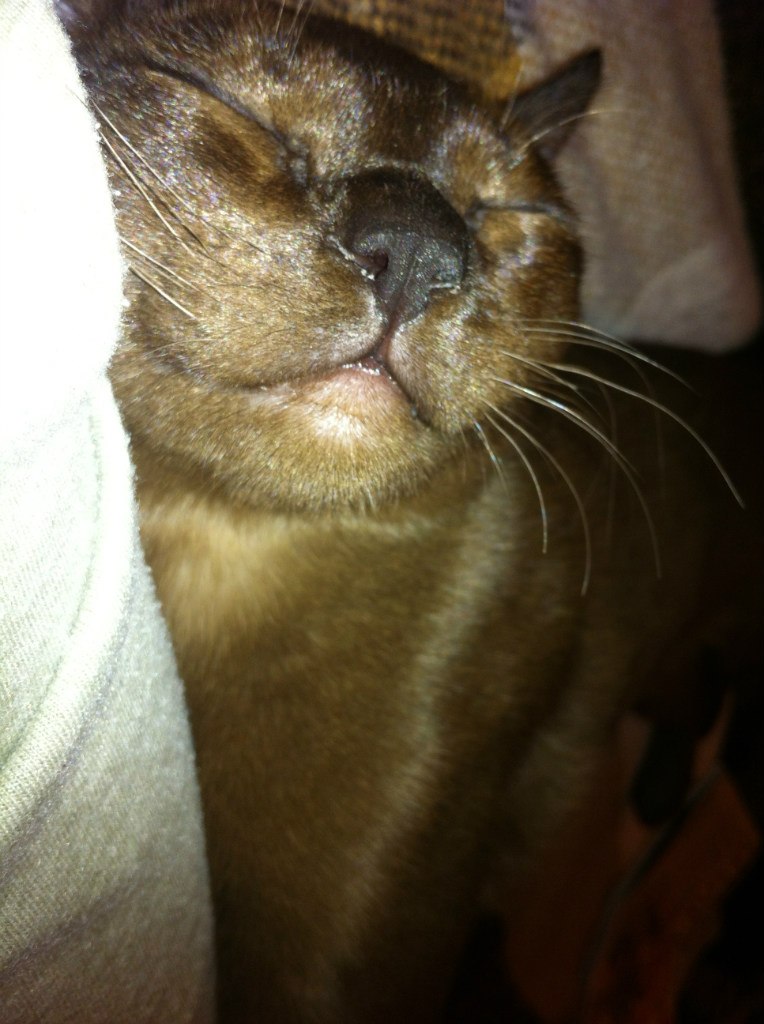 Екатерина Беляева | Москва