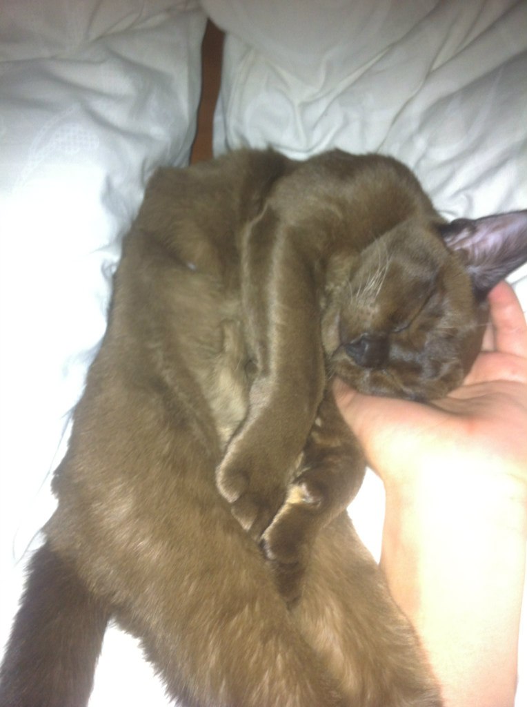 Екатерина Беляева | Москва