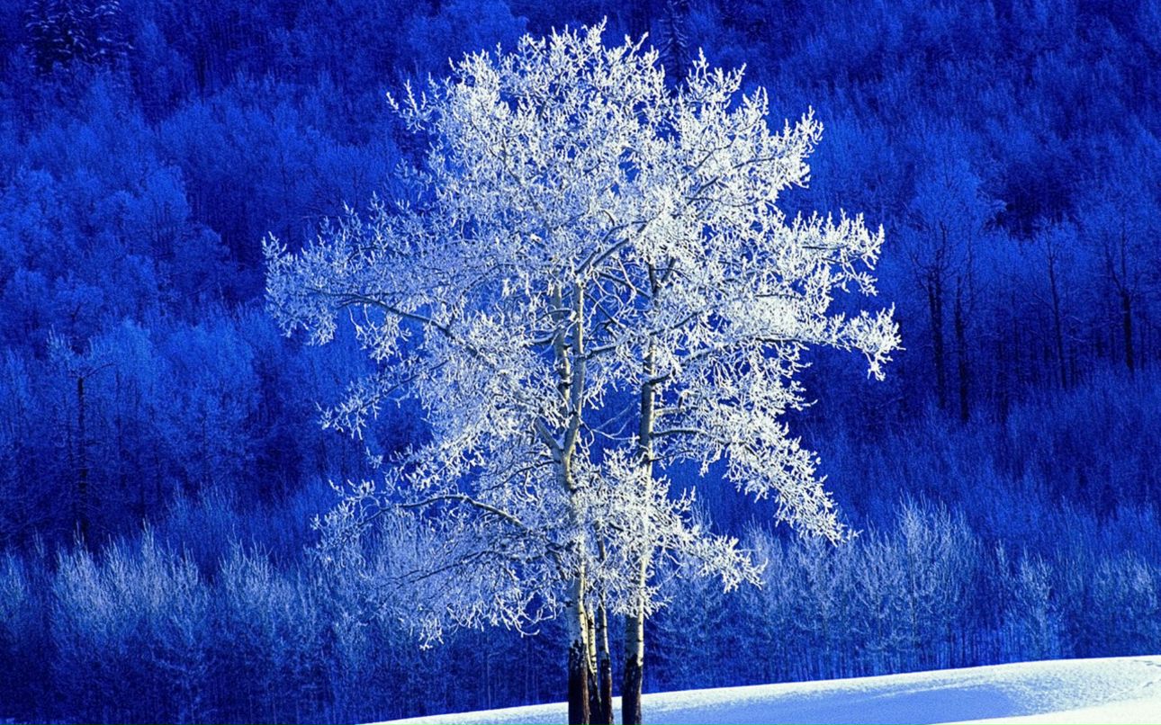 Сергей Хортица | Puerto Cortés