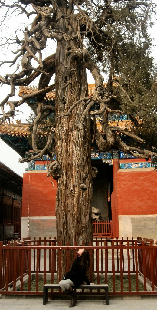 Анна Су | Санкт-Петербург