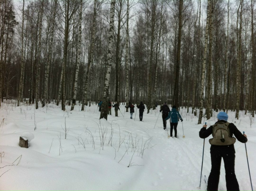 Ярослав Ягель | Санкт-Петербург