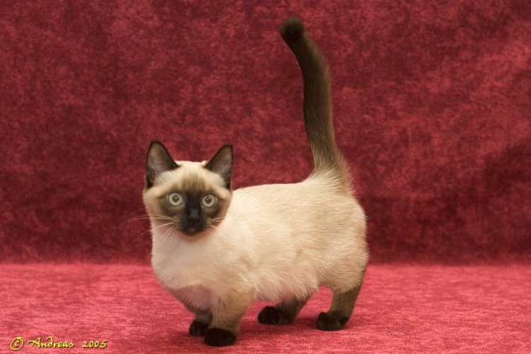 Алексей Александров | Москва