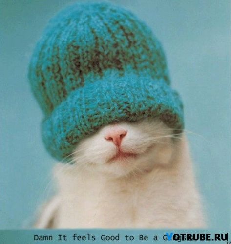 №3, Наталья Котова, 37 лет, Москва №3, Наталья Котова, 37 лет, Москва