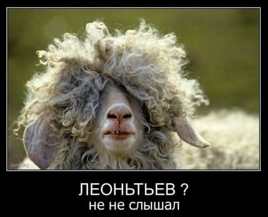 Наташка Верста | Ужгород