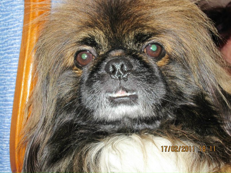 Юля Довганюк | Хмельницкий