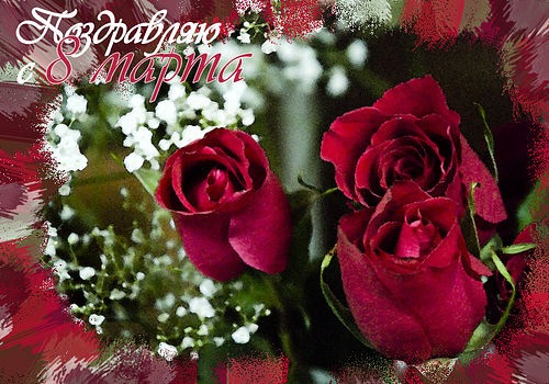 №24, Юлия Сафронова, 38 лет, Краснодар №24, Юлия Сафронова, 38 лет, Краснодар