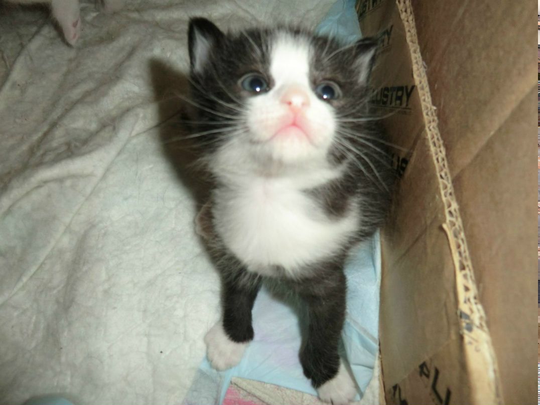 Татьяна Бушуева | 