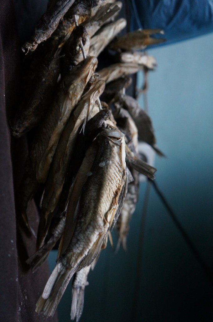 Сергей Степанов | Москва