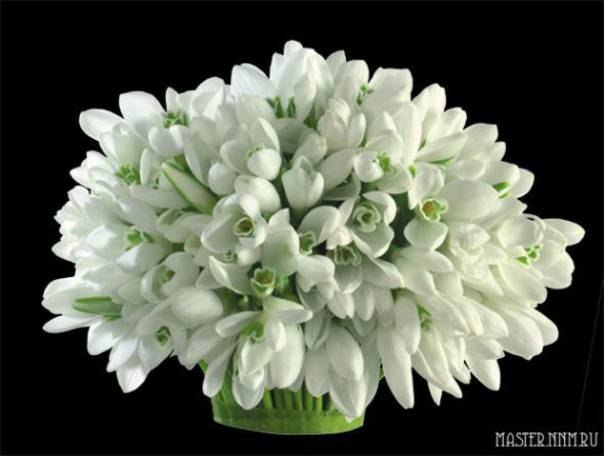 Снежка Посонська | Хмельницкий