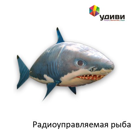 Мой знак зодиака Скорпион
