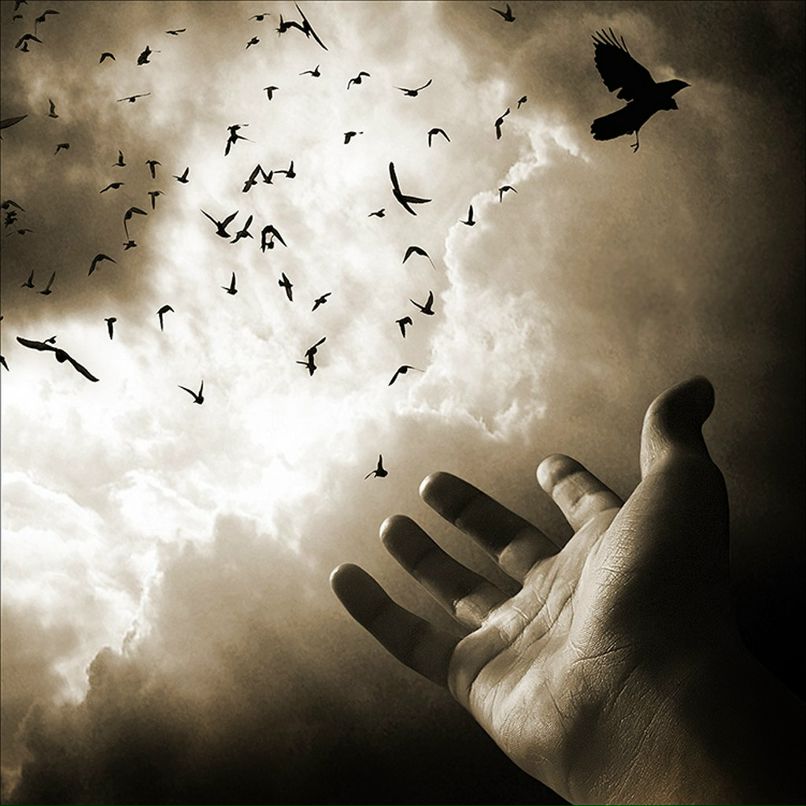 Александр Ретуков | Кондопога