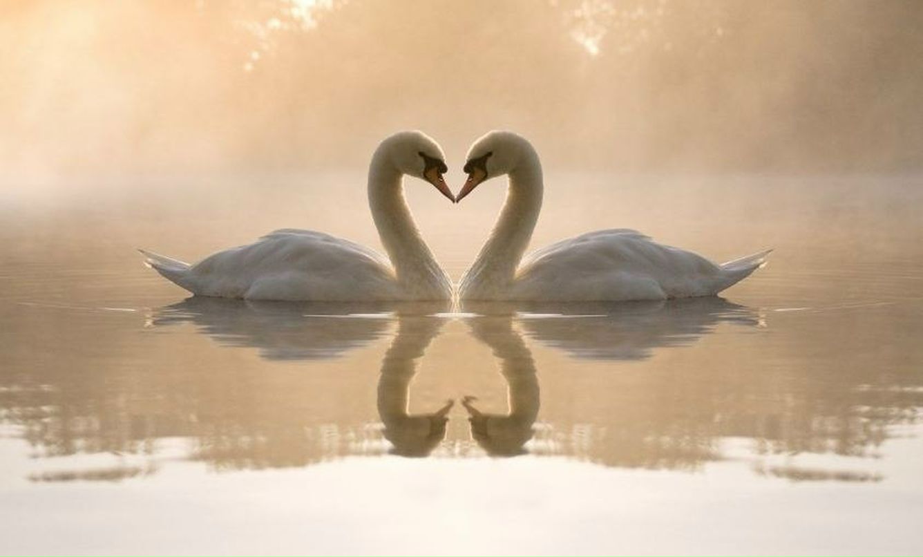 Елена Успасская Rati रति Rêve Bliss | 