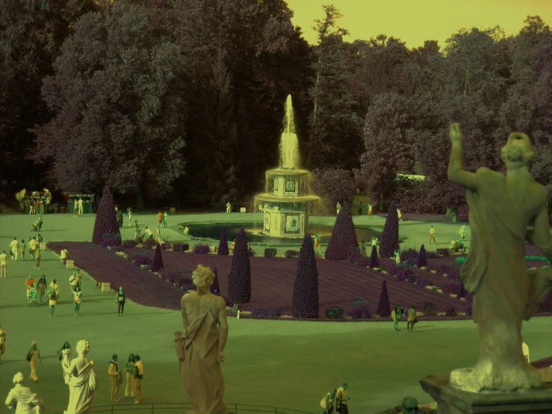 Света Баева Svet | Минск