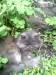Марина Полчанова фотография #17 (источник - https://vk.com/id75147211)