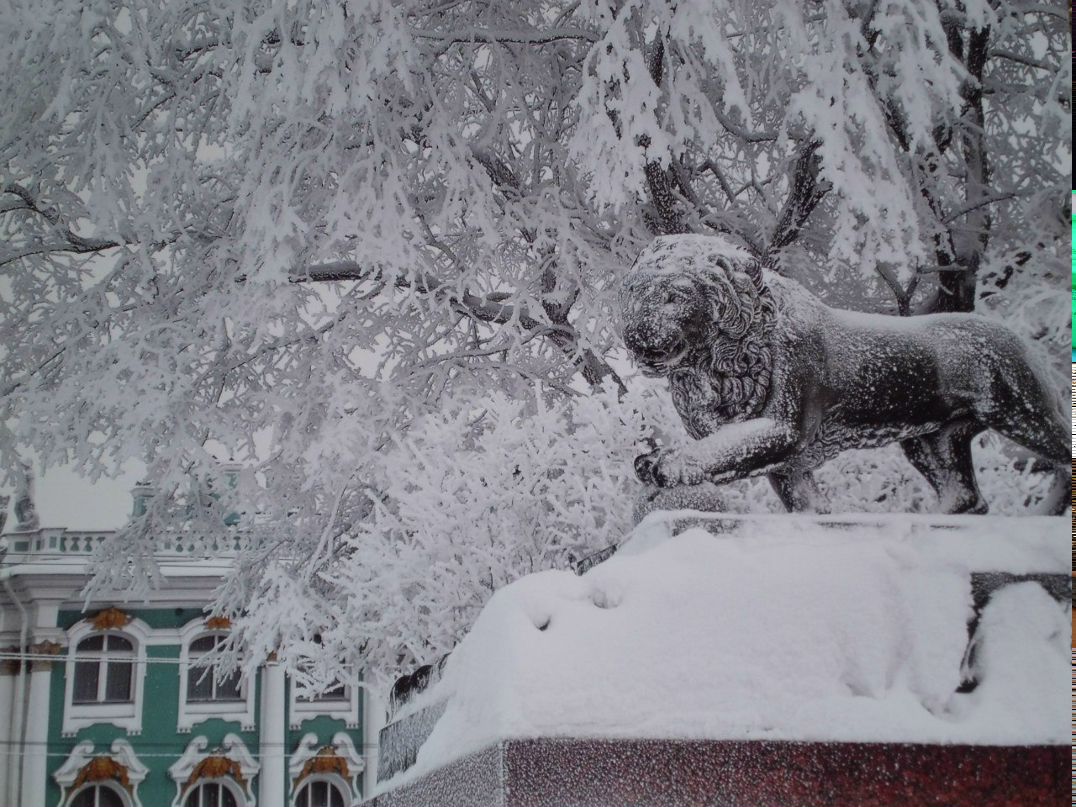 Алексей Цветков | Санкт-Петербург