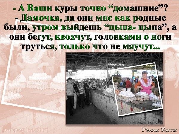 Миша Вихман | Or Akiva
