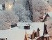 Светлана Полякова | 