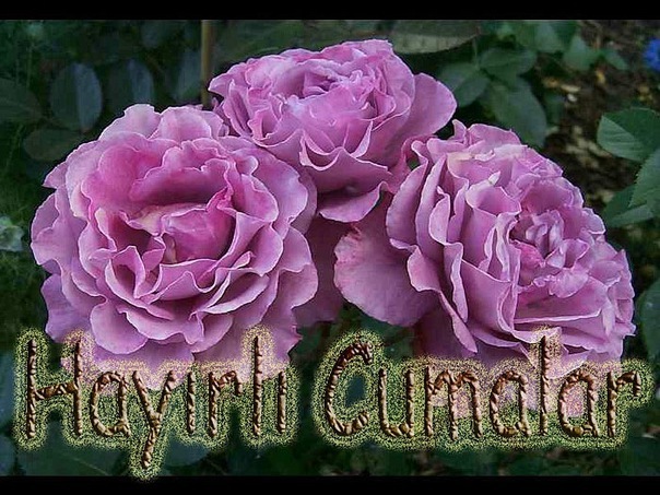 №100, Рания Исмагилова, Казань №100, Рания Исмагилова, Казань