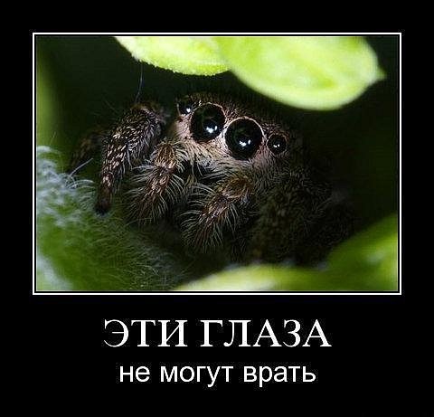 №99, Оксана Круглякова, 37 лет, Москва, Россия №99, Оксана Круглякова, 37 лет, Москва, Россия