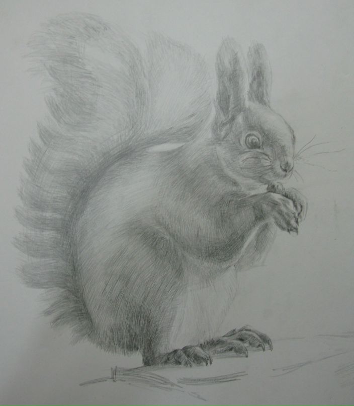 Роман Грищенко | Севастополь